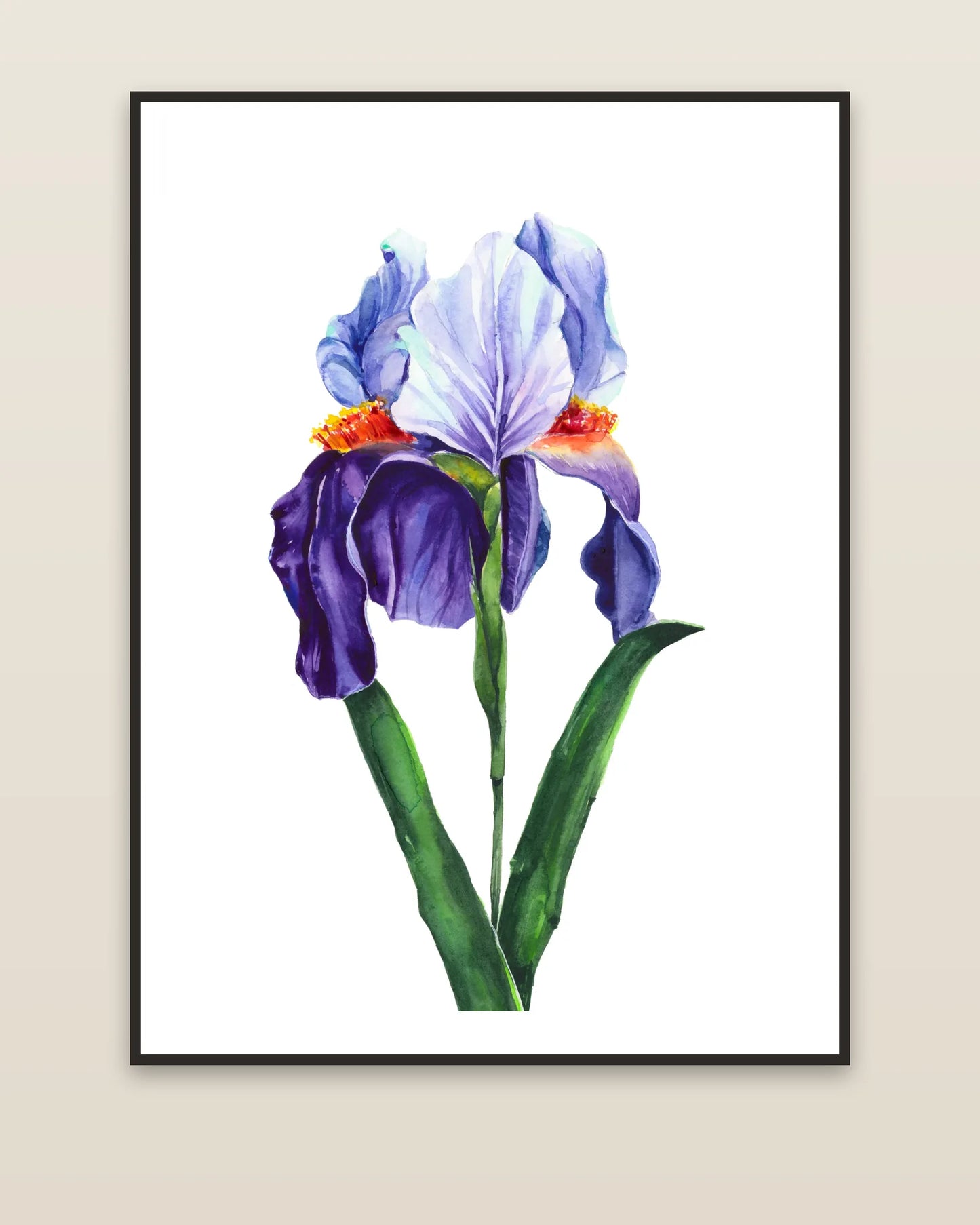 Blue Iris framed on a wall