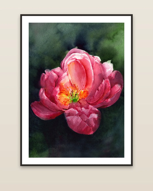 Midnight Peony framed on a wall