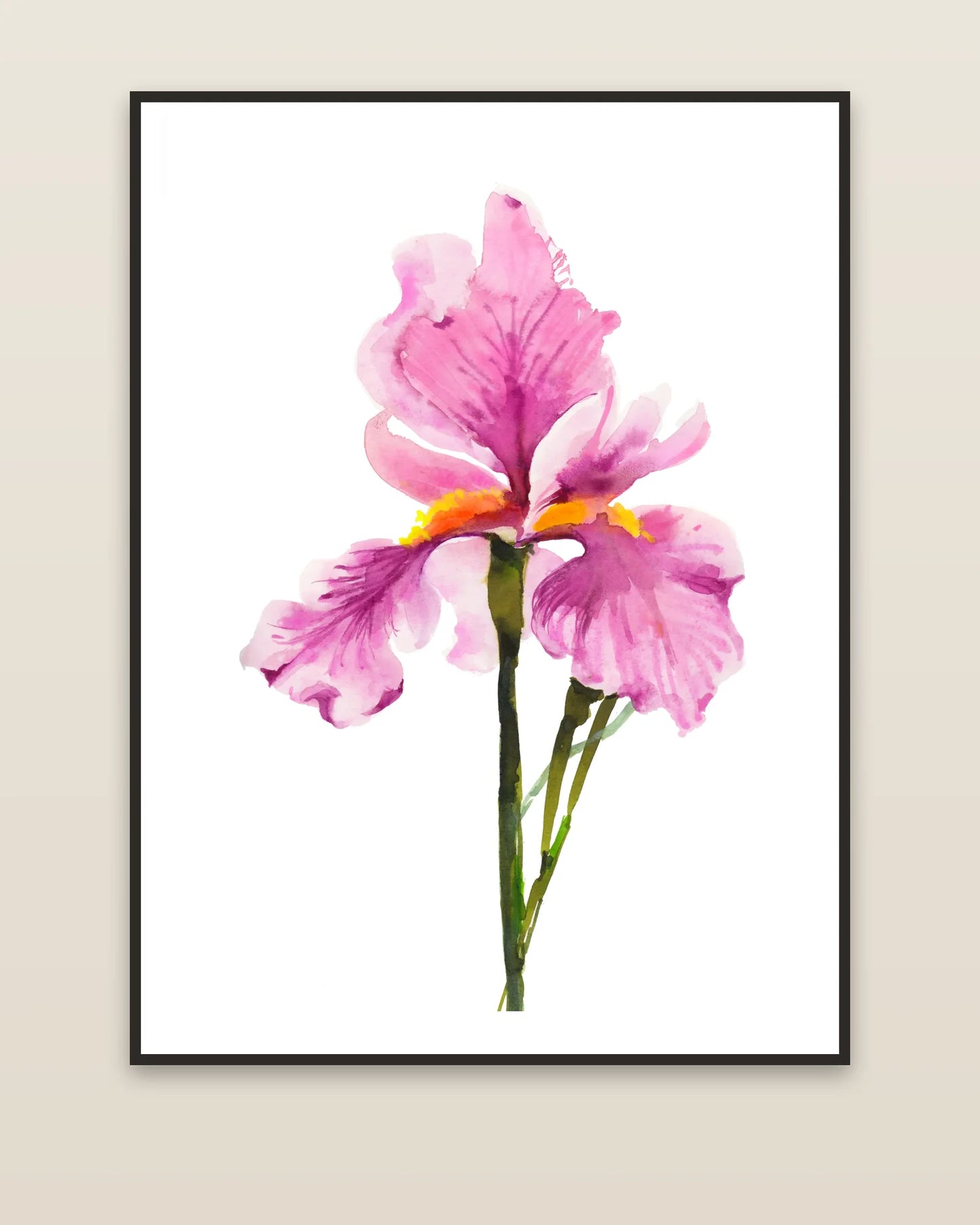 Pink Iris framed on a wall