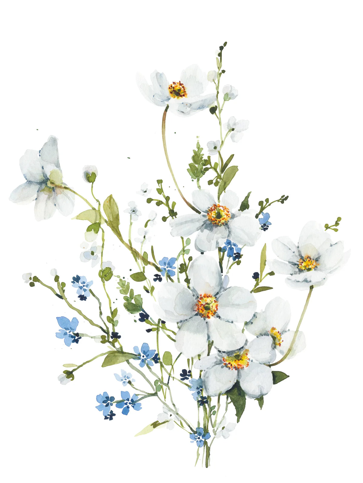 White Anemones